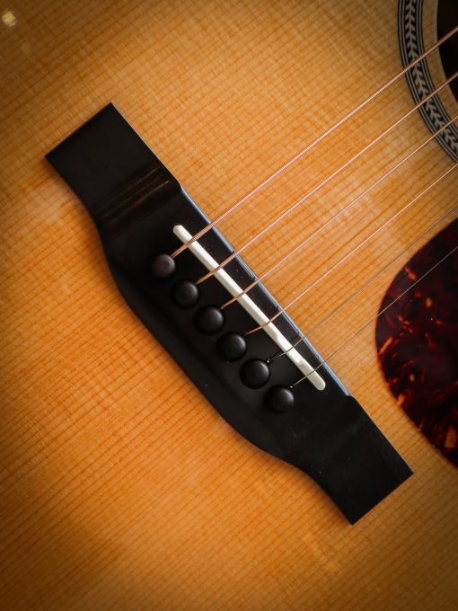 Eastman E1D Special – Image 7