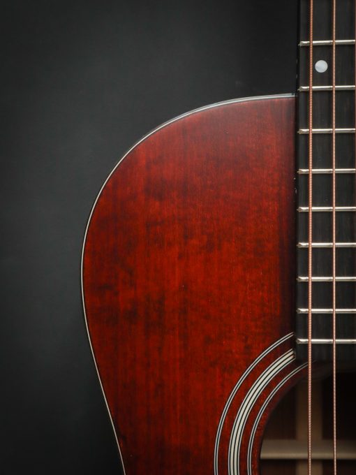 Eastman E1P Bluesmaster Limited Edition – Image 5