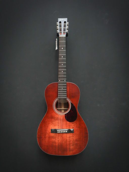 Eastman E1P Bluesmaster Limited Edition – Image 2