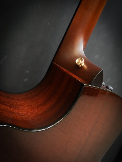 Taylor 314ce 50e anniversaire – Image 20