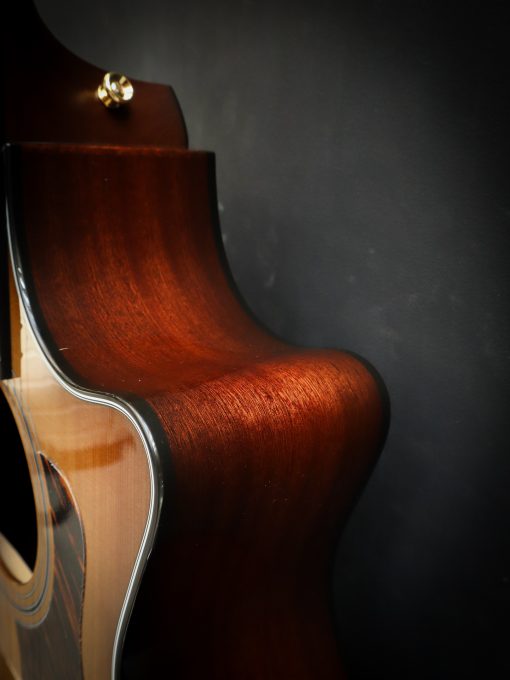 Taylor 314ce 50e anniversaire – Image 12