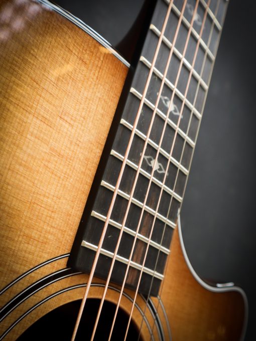 Taylor 314ce 50e anniversaire – Image 8