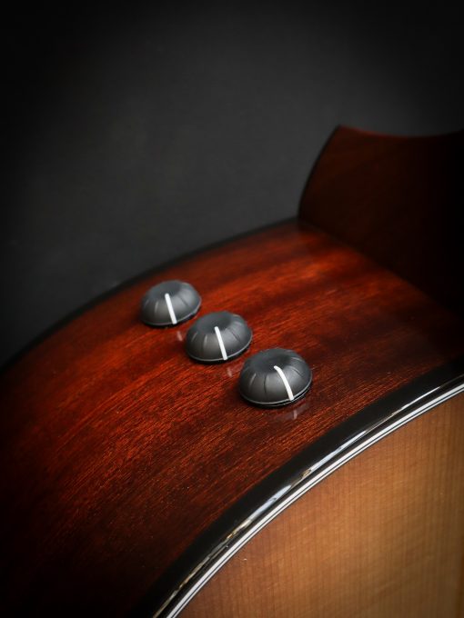 Taylor 314ce 50e anniversaire – Image 6