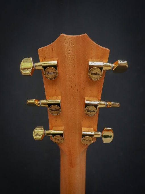 Taylor 217e-SB Plus LTD – Image 11