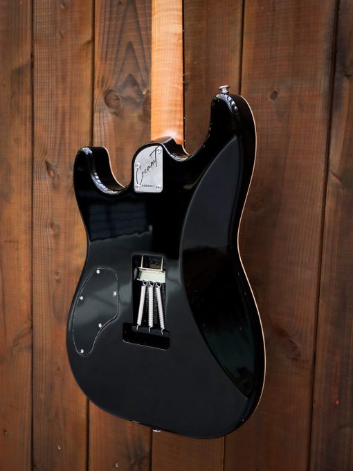Cream T Polaris Custom HSS Black Hole Burst – Image 15