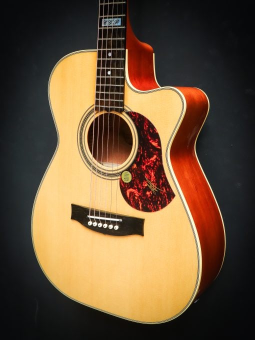 Maton 808C Tommy Emanuel – Image 13