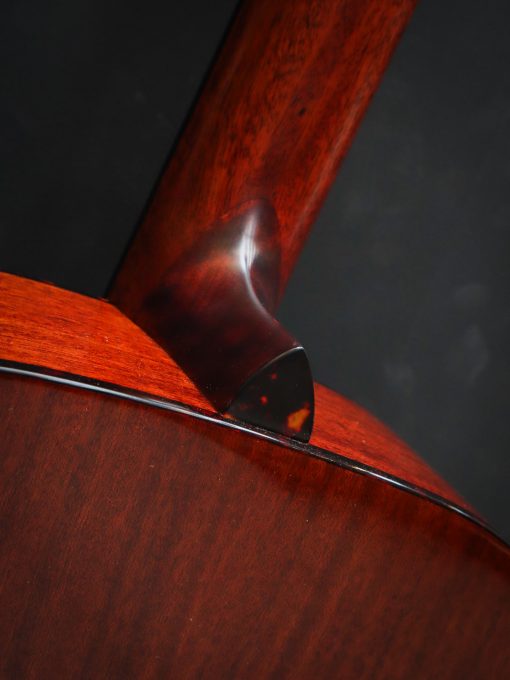 Eastman E1D-Deluxe 12 cordes – Image 15