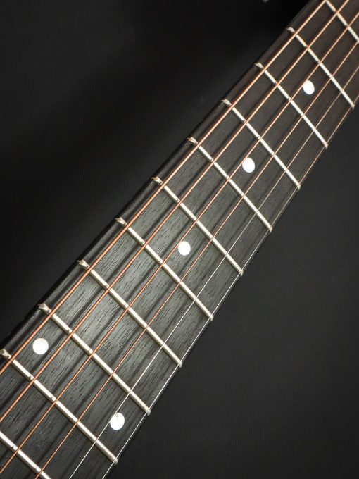 Eastman E10-OM TC – Image 12