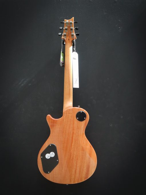 PRS SE Zach Myers – Image 17