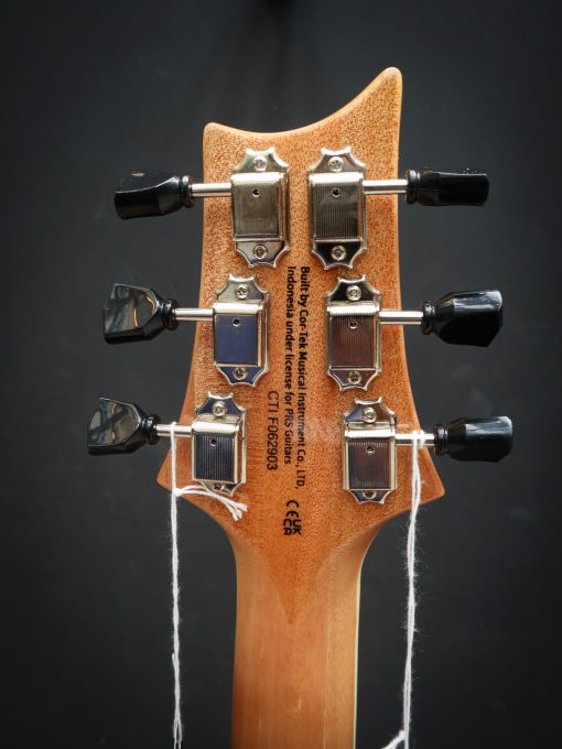 PRS SE Zach Myers – Image 16