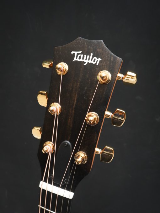 Taylor 224ce-K DLX – Image 14