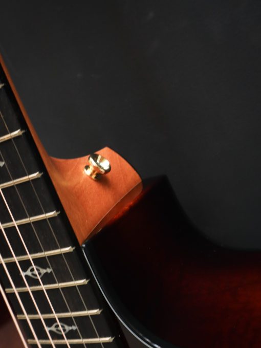 Taylor 224ce-K DLX – Image 10