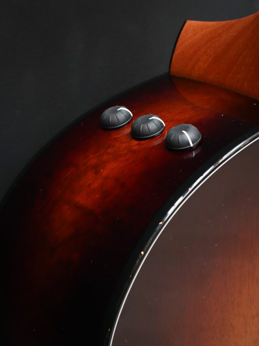 Taylor 224ce-K DLX – Image 6