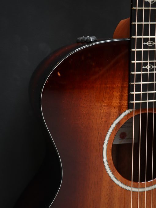 Taylor 224ce-K DLX – Image 5