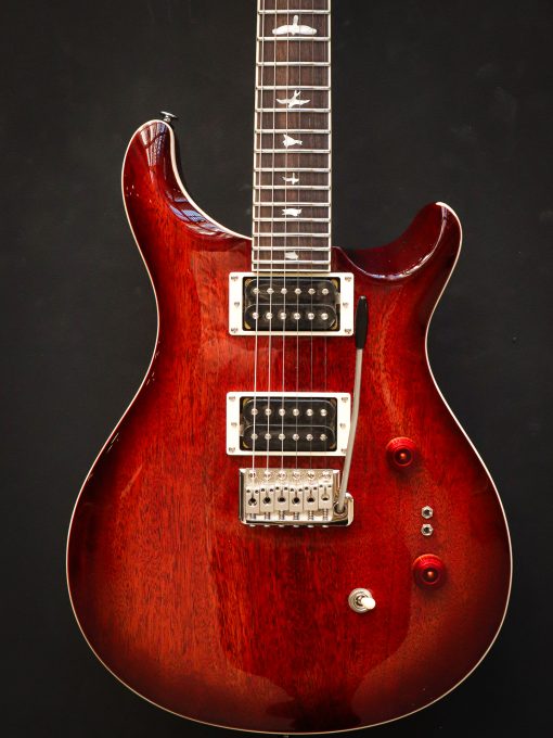 PRS SE Standard 24-08 Tobacco Sunburst – Image 3