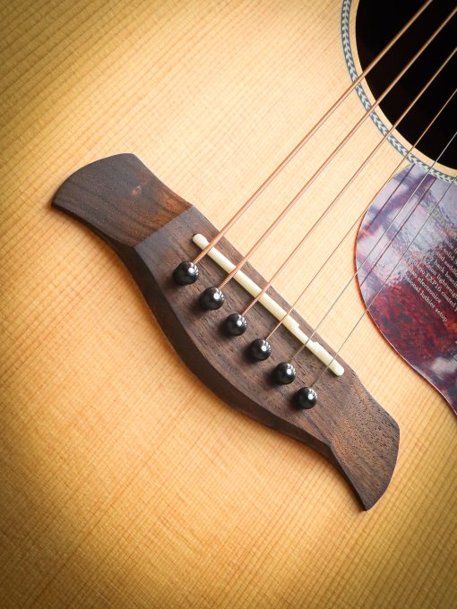 Richwood B-20 includes hard case – Image 7
