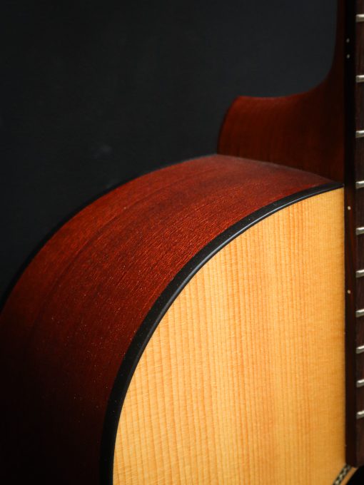 Richwood B-20 includes hard case – Image 6