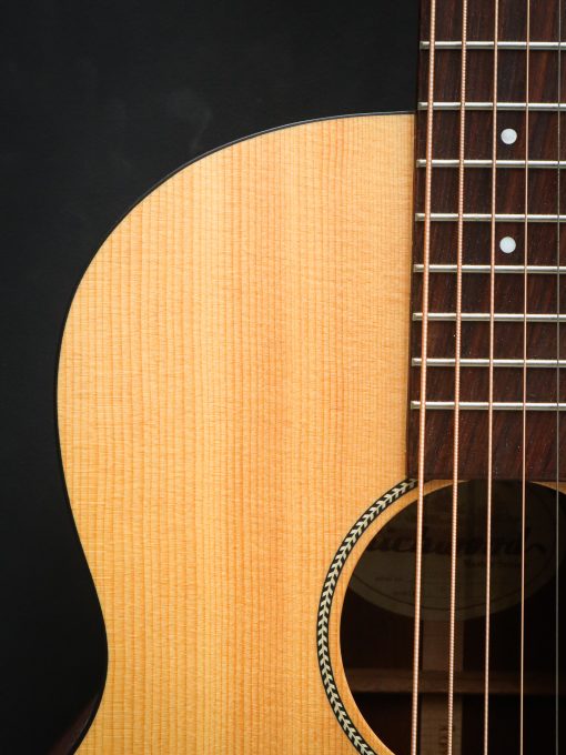Richwood B-20 includes hard case – Image 4