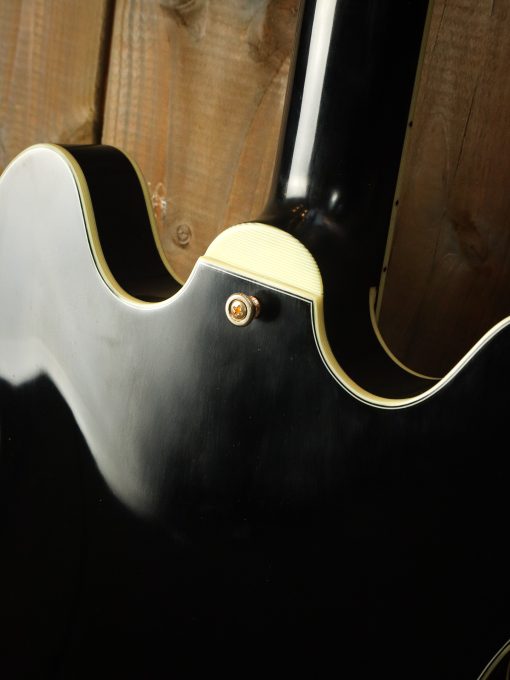 Eastman T59/TV-B édition limitée – Image 16