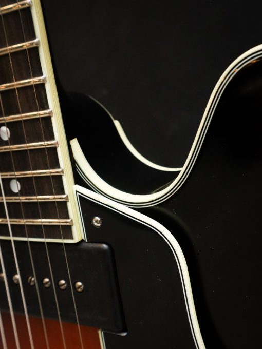 Eastman T60 TV/v SB – Image 8