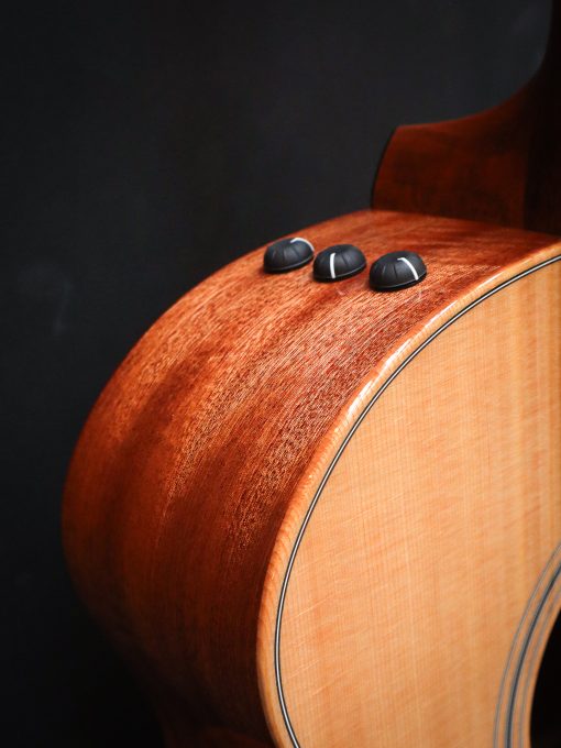 Taylor 314ce Studio Special Edition – Image 5