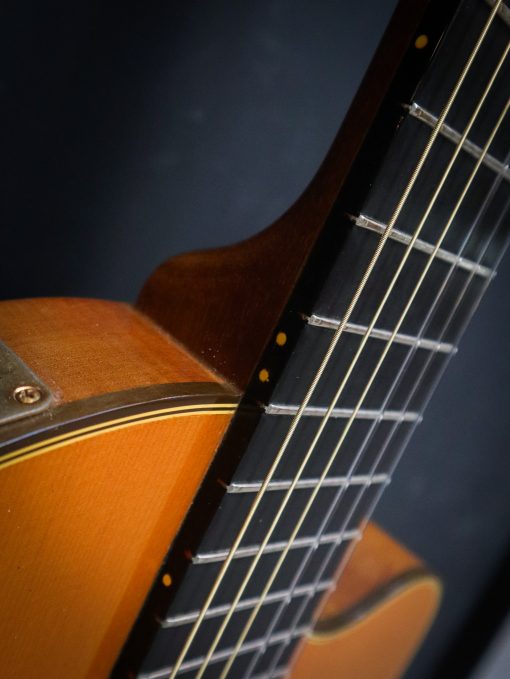1982 Gibson Chet Atkins Classic Electric – Image 10