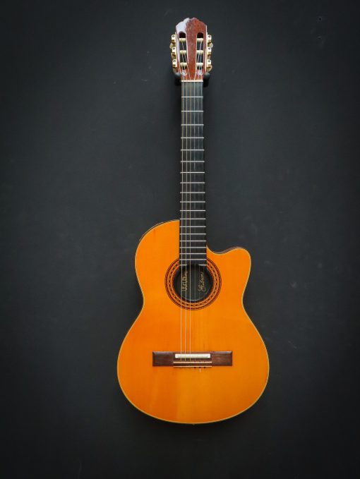 1982 Gibson Chet Atkins Classic Electric – Image 2