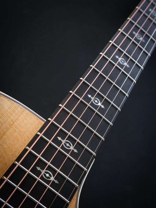 Taylor 214ce SB-DLX – Image 10