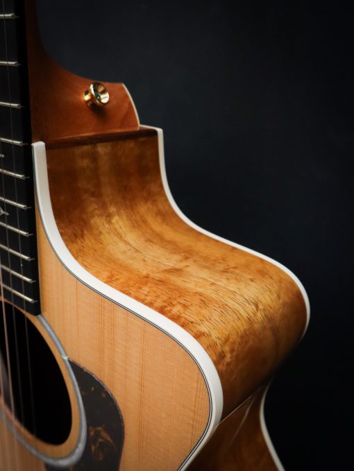Taylor 214ce SB-DLX – Image 9
