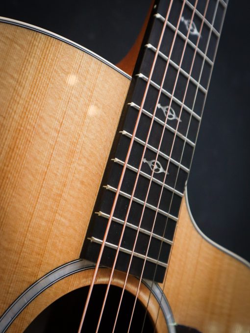 Taylor 214ce SB-DLX – Image 6