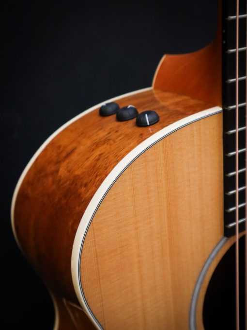 Taylor 214ce SB-DLX – Image 4