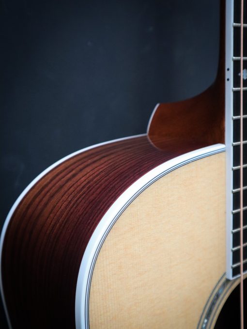 Taylor Legacy 810e – Image 7
