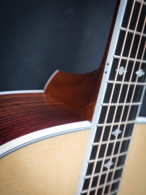 Taylor Legacy 810e – Image 6