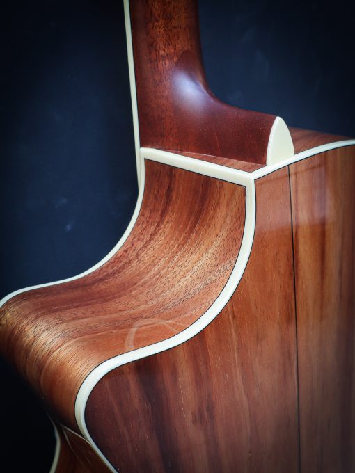 Eastman AC 422 CE Limited Edition – Image 15