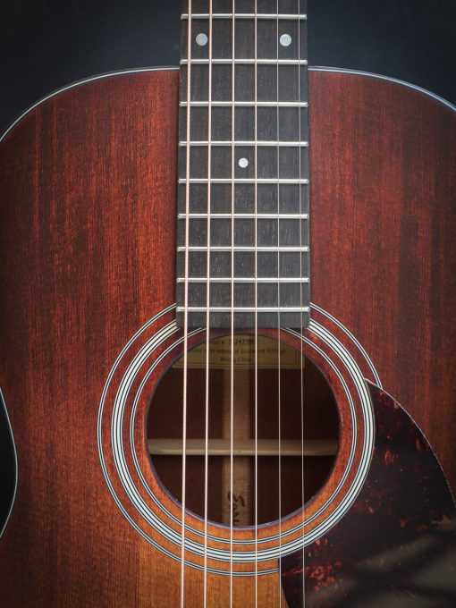 Eastman E1P Classic – Image 5