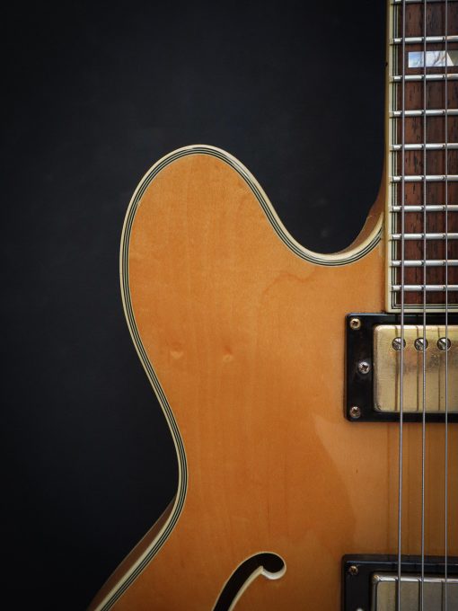 1989 Epiphone Sheraton II Natural (OCCASION) – Image 5