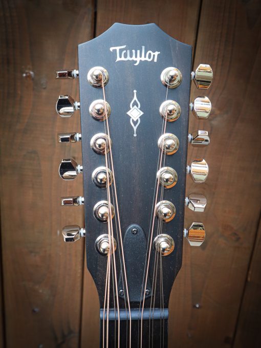 Taylor 354ce – Image 10