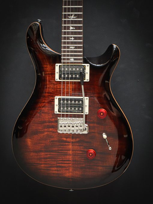 PRS SE Custom 24 Noir Goldburst – Image 3