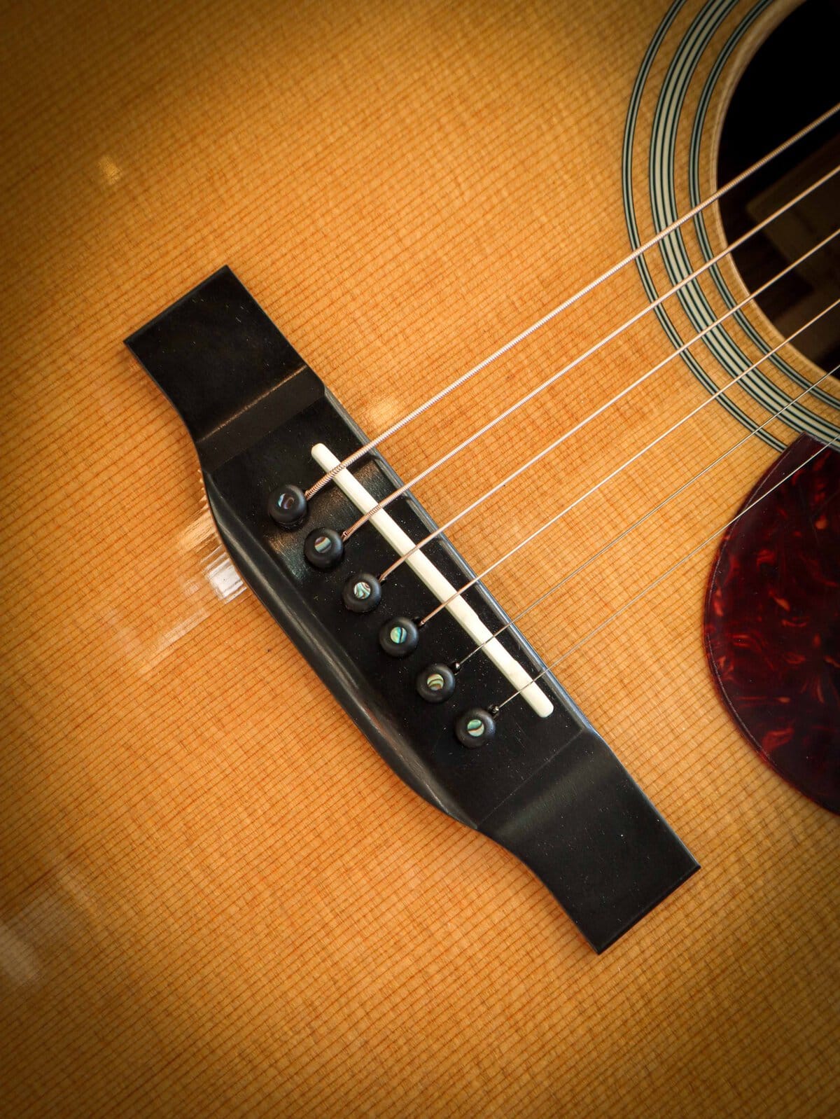Eastman E8 OM TC – Image 6