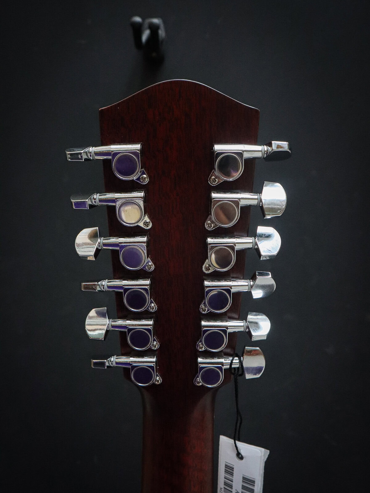 Eastman AC330CE-12 – Image 11