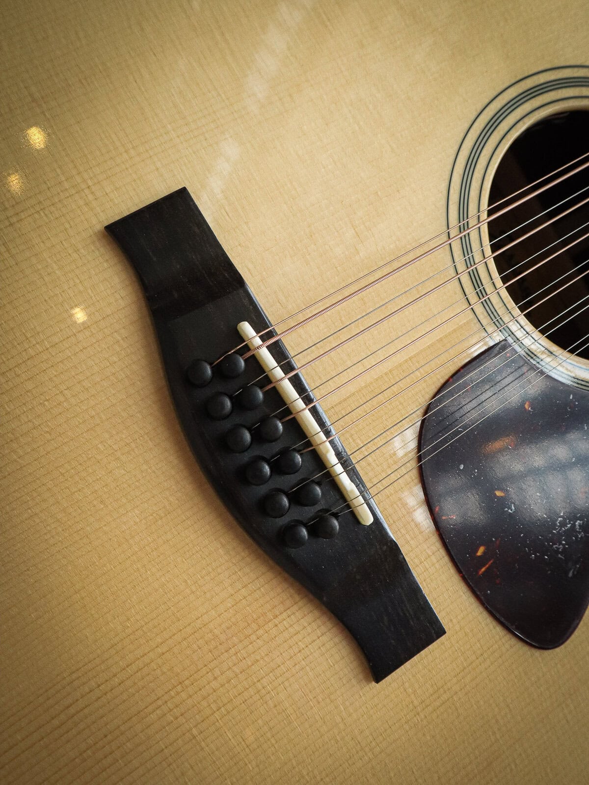 Eastman AC330CE-12 – Image 8