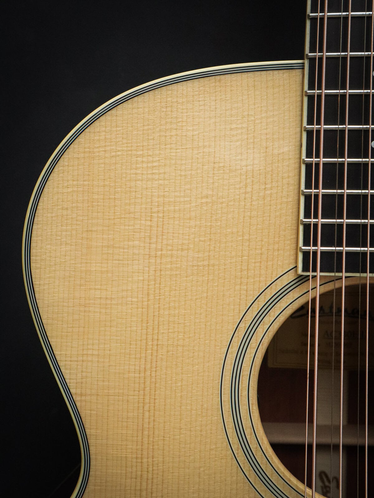 Eastman AC330CE-12 – Image 7