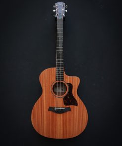 Alternative view of Taylor 24ce Sapele