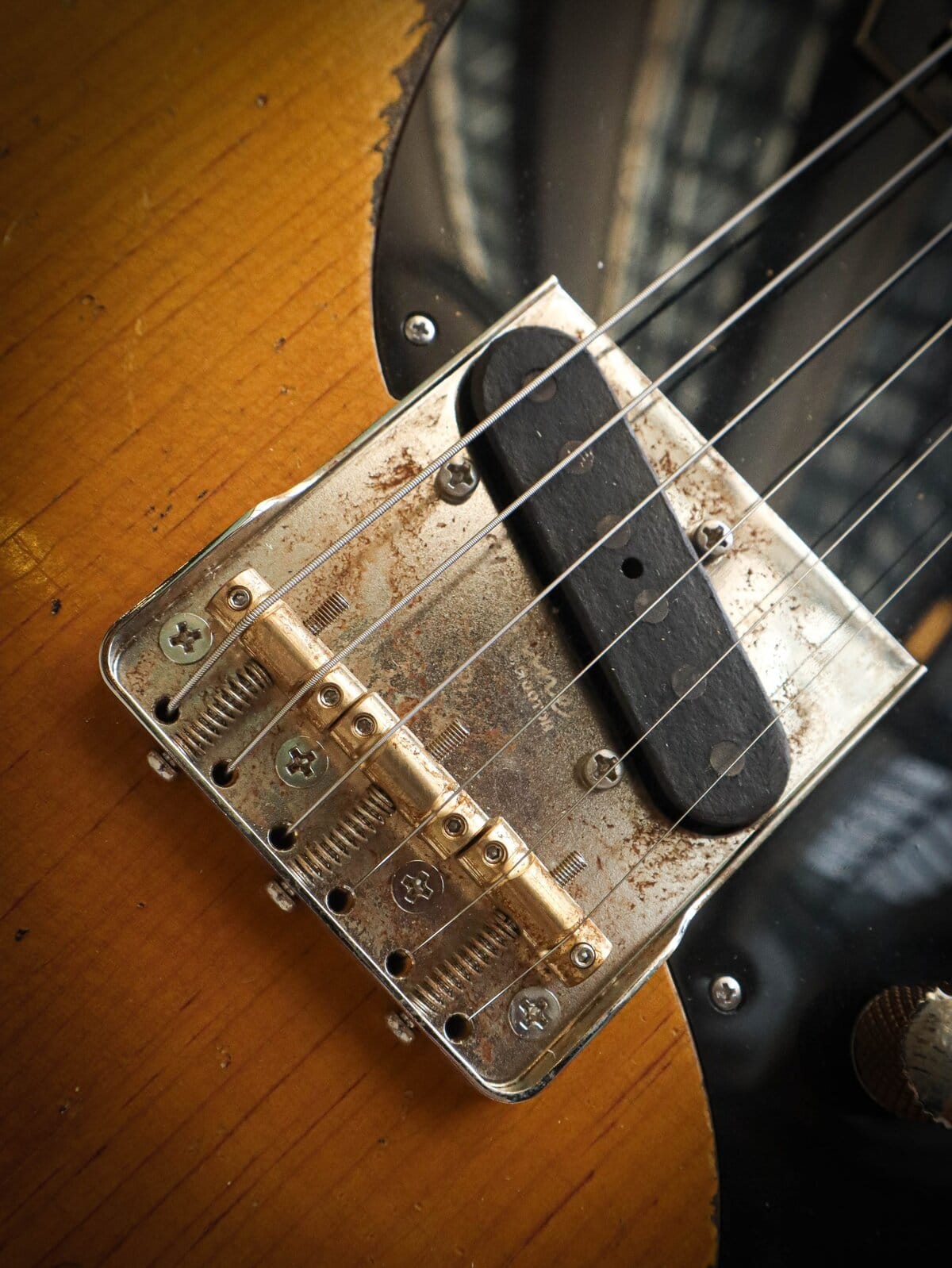 Eastman Kauffmann Series SC Classic Ashbury Butterscotch – Image 10