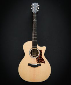 Alternative view of Taylor 414ce Next Generation