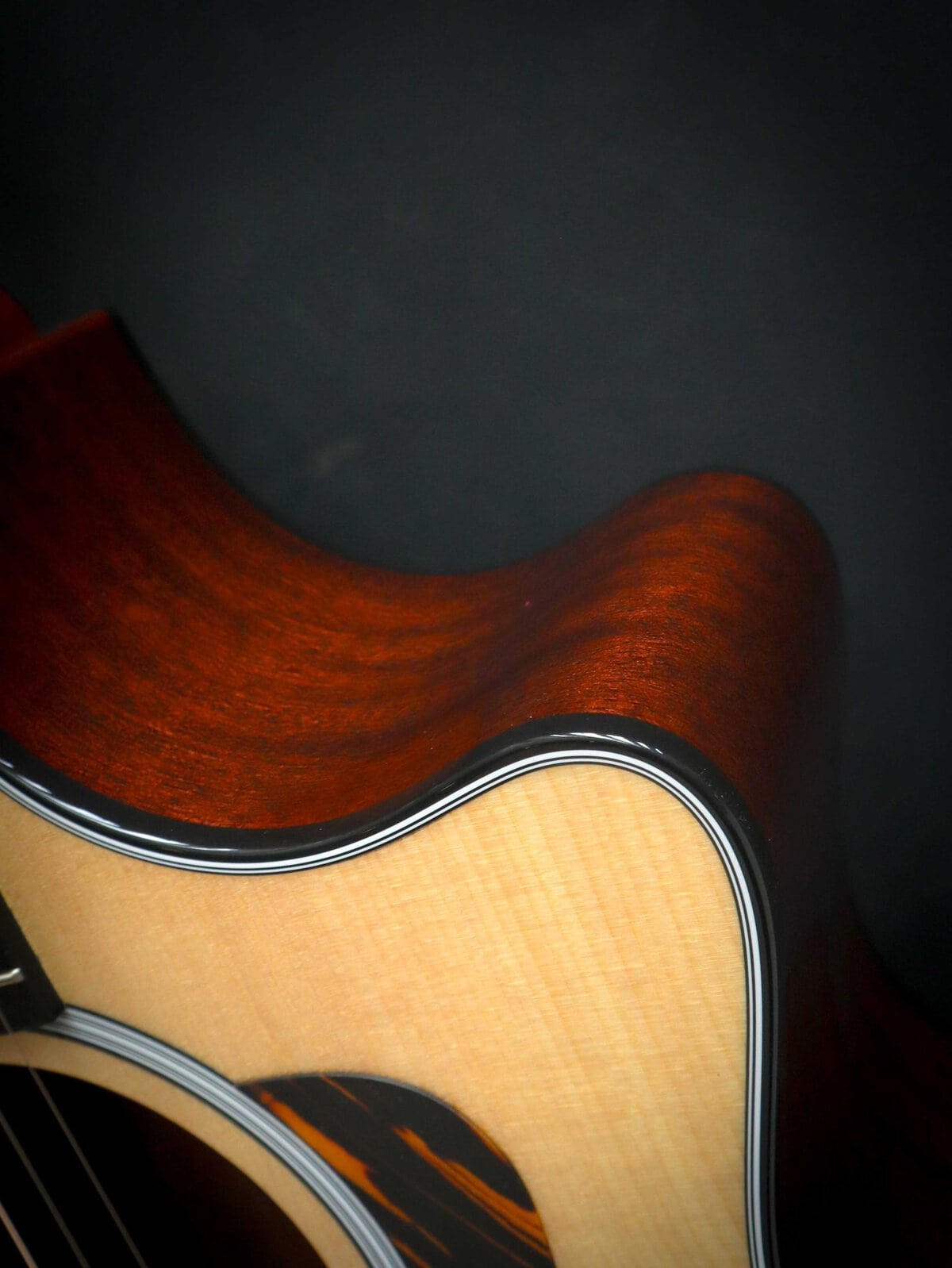 Taylor 314ce Next Generation – Image 9