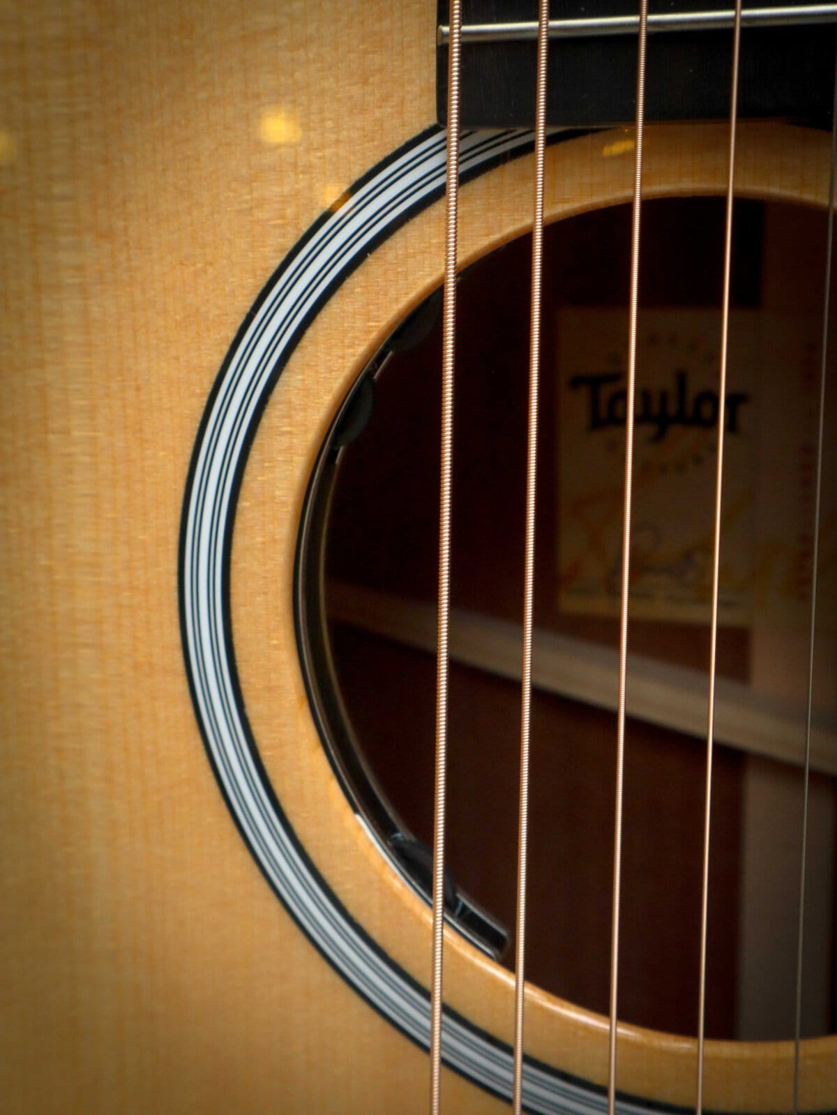 Taylor 314ce Next Generation – Image 7