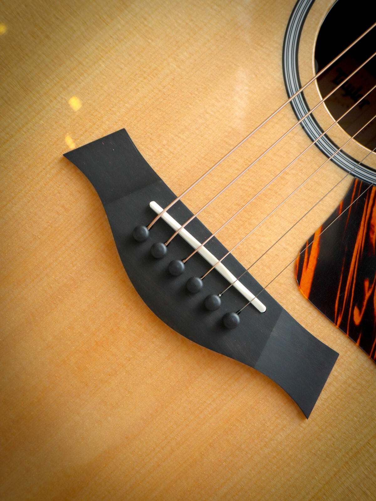 Taylor 314ce Next Generation – Image 6