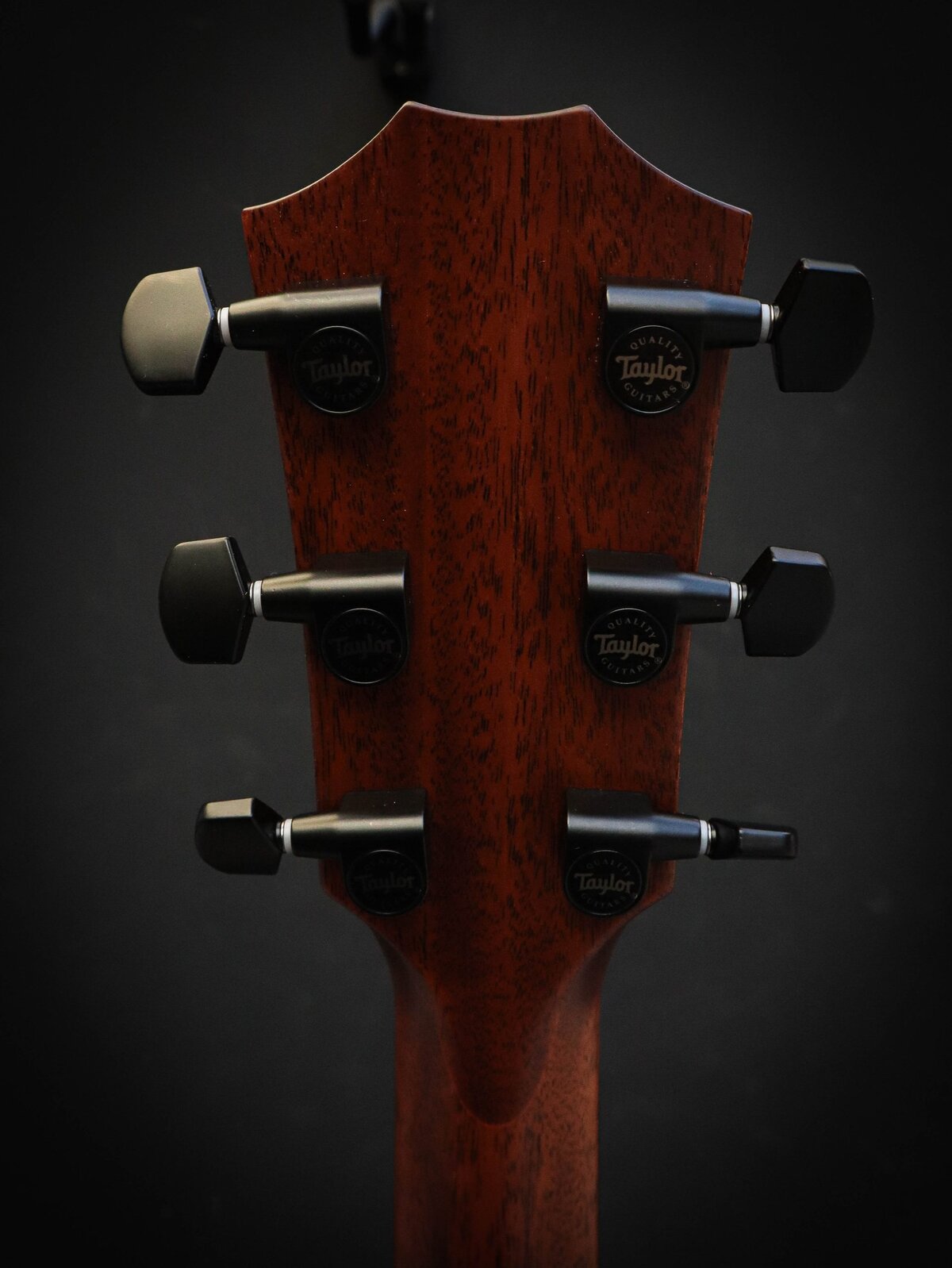 Taylor 324ce Nouvelle Génération – Image 13