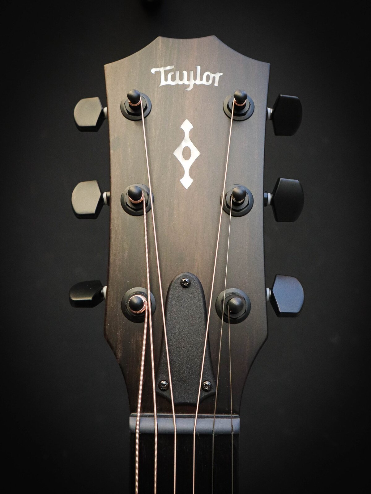 Taylor 324ce Nouvelle Génération – Image 11